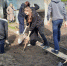 Нурлатские молодогвардейцы и сторонники партии «Единая Россия» пришли на помощь вдове ветерана ВОВ - Нурлатский район