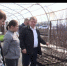Цветоводы Блиновы скоро начнут украшать своими цветами улицы, парки и скверы города - Нурлат-⁠информ