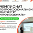 У Татарстана золото и серебро межрегионального этапа Чемпионата по профессиональному мастерству «Профессионалы» - Нурлатский район