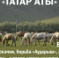 В Татарстане состоится фестиваль «Татар аты» - Нурлат-⁠информ