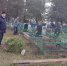 В выходные жители микрорайона Курмыш провели субботник на кладбище - Нурлат-⁠информ