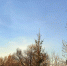 Погода в Нурлате на 27 ноября - Нурлатский район