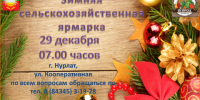 Нурлатцев и гостей города приглашает предновогодняя сельхозярмарка - Нурлат-⁠информ