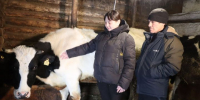В двух КФХ Богдашкинского сельского поселения содержатся 134 голов КРС - Нурлат-⁠информ