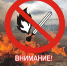 В Татарстане вводится запрет на разведение костров и использование мангалов в лесу - Нурлатский район