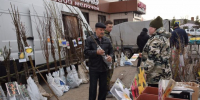 Пришло время саженцев - Нурлат-⁠информ