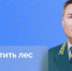 Прямой эфир с министром лесного хозяйства Татарстана: защита лесов и актуальные вопросы - Нурлат-⁠информ