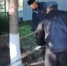 В ТОСе «Курмышский» продолжаются осенние субботники - Нурлатский район
