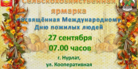 Ярмарка ко Дню пожилых людей на улице Кооперативная в Нурлате - Нурлат-⁠информ