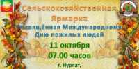 Все на ярмарку! - Нурлатский район