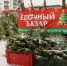 Купить живую ёлку легально: как не нарушить закон? - Нурлат-⁠информ