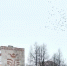Календарь праздников на 18 марта 2026 года - Нурлат-⁠информ