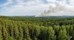 В лесах России введён особый противопожарный режим